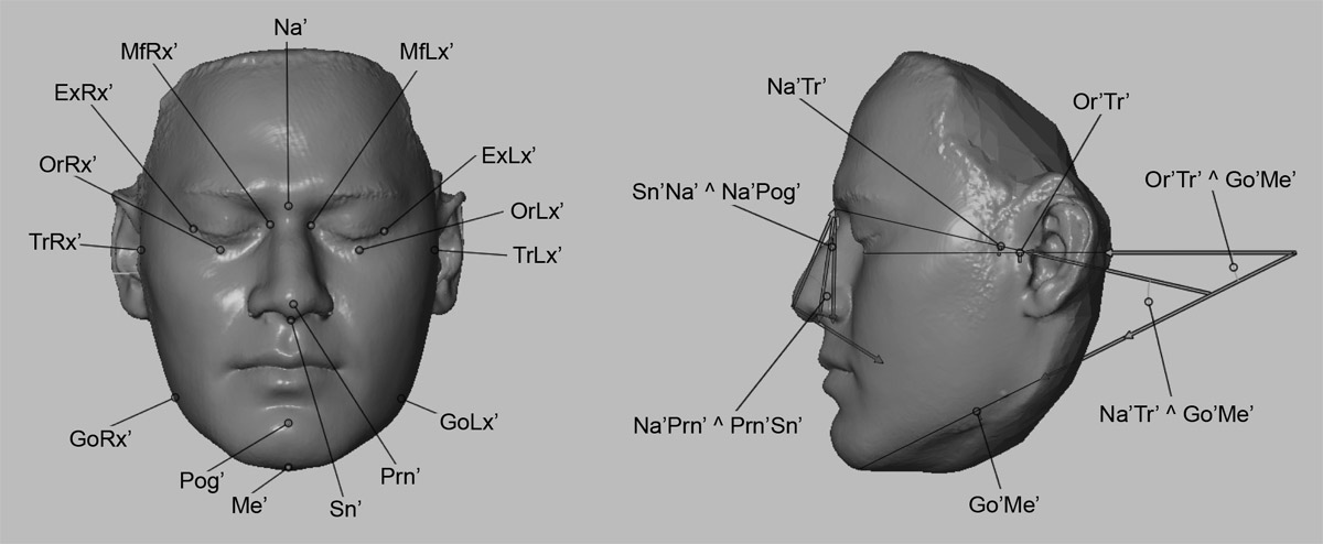 Face scan with 19 facial measurements